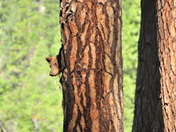 Yosemite National Park