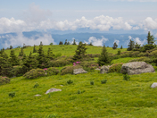 Roan Highlands - Pisgah and Cherokee National Forests