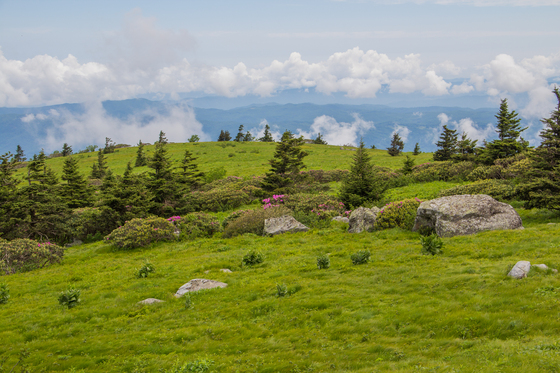 Roan Highlands - Pisgah and Cherokee National Forests