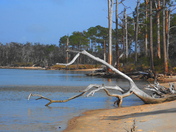 Gulf Islands National Seashore