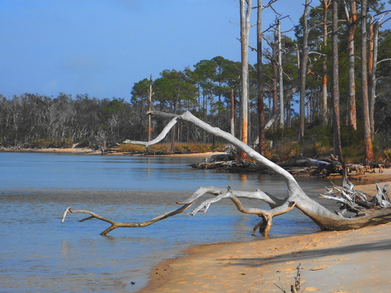Gulf Islands National Seashore