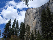 Yosemite National Park