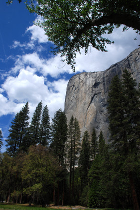 Yosemite National Park