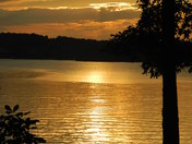 Uwharrie National Forest
