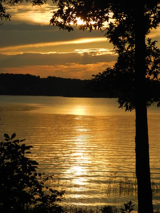 Uwharrie National Forest
