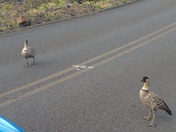 Haleakala National Park 