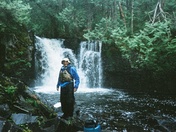 BWCA