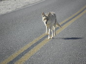 Death Valley