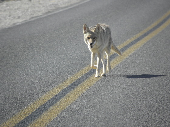 Death Valley