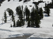 Lassen Volcanic National Park
