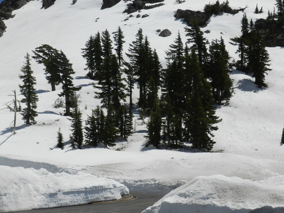 Lassen Volcanic National Park
