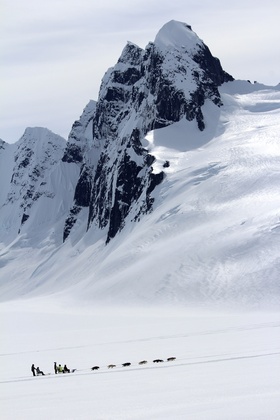 Tongass National Forest