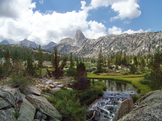 Kings Canyon National Forest