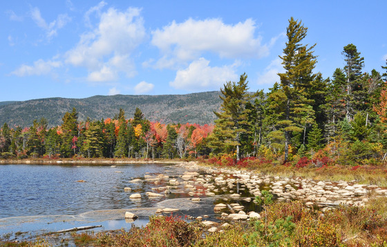 White Mountain National Forest