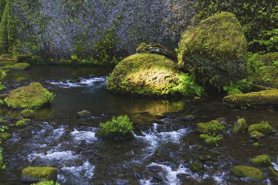 Wahclella Falls