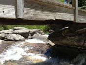Pisgah National Forest