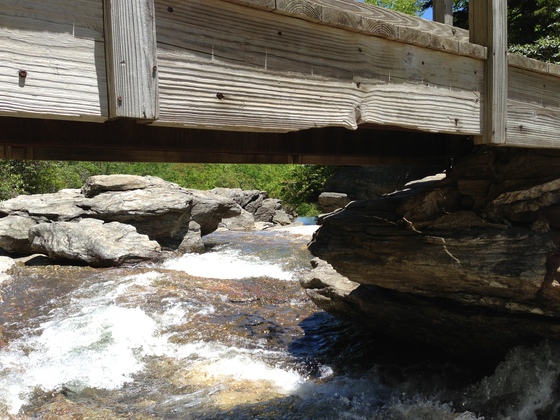 Pisgah National Forest