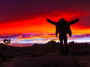 Joshua Tree National Park