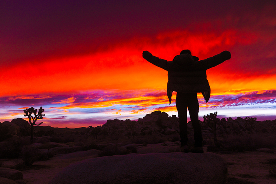 Joshua Tree National Park