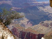 The Grand Canyon