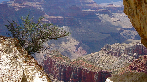 The Grand Canyon