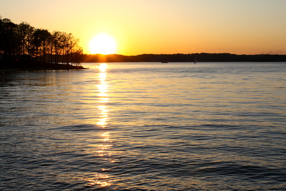 Old Federal Campground on Lake Lanier Georgia