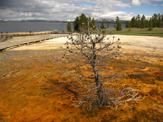 Yellowstone National Park