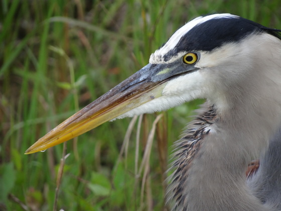 Everglades National Park