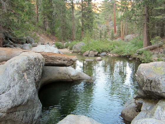 Sierra National Forest / Dinkey Creek
