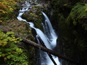 Olympic National Park