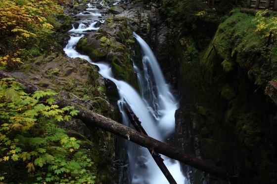 Olympic National Park