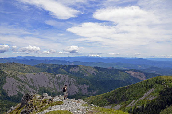 Gifford Pinchot National Forest