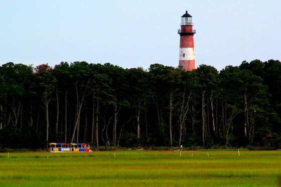 Chincoteague Islans