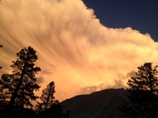 Inyo National Forest