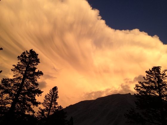 Inyo National Forest