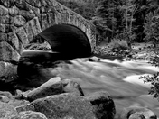 Yosemite National Park