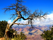 Grand Canyon National Park