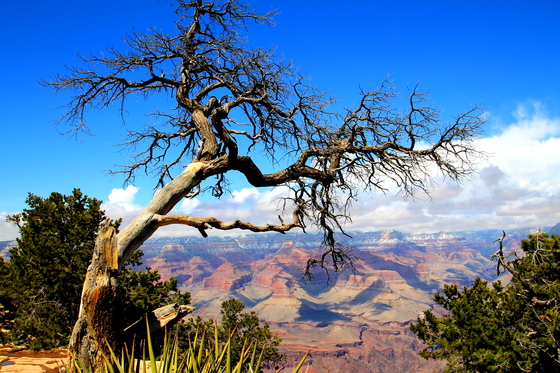 Grand Canyon National Park