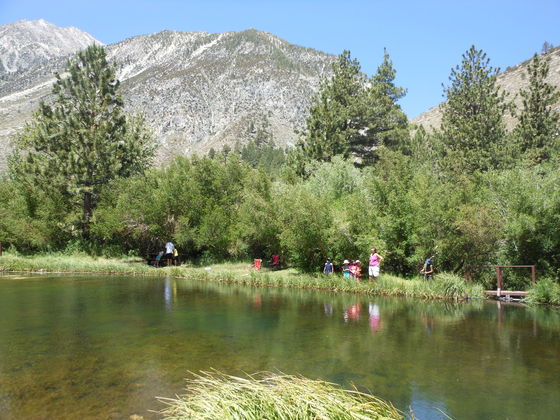 Big Pine Creek California