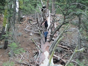 Sierra National Forest / Dinkey Creek, CA
