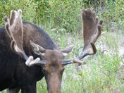 Grand Teton National Park
