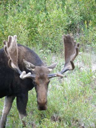 Grand Teton National Park