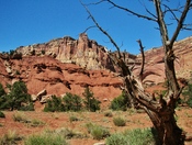 Capitol Reef N.P.