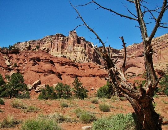 Capitol Reef N.P.