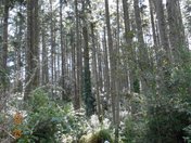 Point Reyes CA