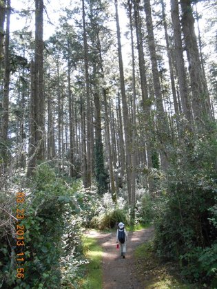 Point Reyes CA