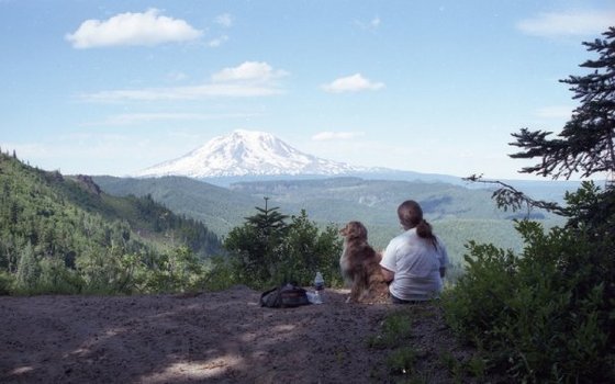 Gifford Pinchot National Forest