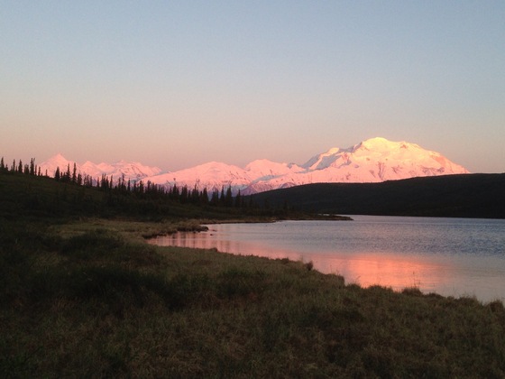 Denali National Park