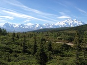Denali National Park