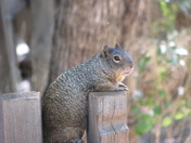 Zion National Park